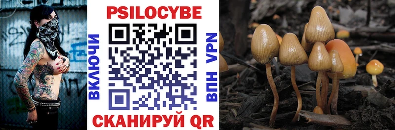 kraken ссылки  Бежецк  Псилоцибиновые грибы GOLDEN TEACHER 